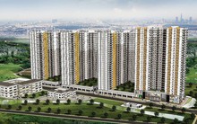 Năm Bảy Bảy chuyển nhượng công ty khai thác đá tại Quảng Ngãi