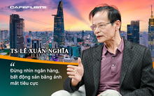 TS Lê Xuân Nghĩa: Lãi suất cao kỳ hạn ngắn thì không thể nào làm được công nghiệp, khoa học công nghệ, chỉ có làm bất động sản mới chịu nổi