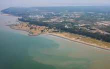 TP HCM: Hình thành 4 khu thương mại tự do