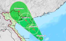 Xuất hiện áp thấp nhiệt đới trên Biển Đông, hướng vào vịnh Bắc Bộ