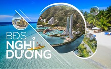 Qua thời "ngủ đông", một loại hình BĐS không còn "cắt lỗ", thậm chí có dự án giá giao dịch thứ cấp tăng 5 - 10%