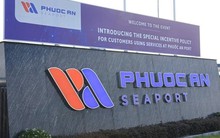 Lỗ luỹ kế 6 tháng gần 250 tỷ đồng, một công ty bất ngờ bổ nhiệm nữ lãnh đạo sinh năm 2002