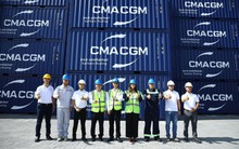 Chưa từng có: Hòa Phát của tỷ phú Trần Đình Long bàn giao 1.000 container cho hãng tàu Top 3 thế giới