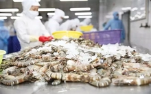 Ngành hàng xuất khẩu tỷ USD kiến nghị bỏ thuế VAT