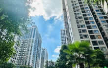 Chuyển từ tầng 25 xuống tầng 8 ở cùng tòa nhà: Tôi nhận ra sự khác biệt về chất lượng cuộc sống lớn đến thế nào