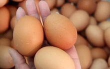 Ăn trứng kiểu này sẽ gây hại cơ thể