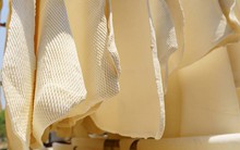 Hàng chục nghìn tấn 'vàng trắng' của Việt Nam được Malaysia chốt đơn: 1/3 thế giới ưa chuộng, nước ta có diện tích trồng hơn 900.000 ha