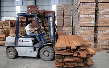 Bị nhầm, đại gia gỗ trên sàn trình lại tỷ lệ chào bán cổ phiếu cho cổ đông hiện hữu từ 5% lên 20%