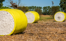 Mỹ chi hơn 10 tỷ USD mua một 'mỏ vàng' của Việt Nam từ đầu năm: Nước ta vừa vươn lên đứng thứ 2 thế giới về xuất khẩu, 132 quốc gia đã chốt đơn hàng