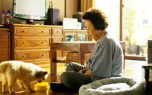 Ở tuổi 65, tôi đau lòng nhận ra: Con cái bất hiếu là do bản thân từng làm 6 điều này