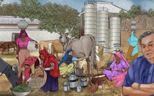 Ngoài dầu Nga, một chất lỏng khác trở thành ‘mặt trận’ mới trong thương chiến Mỹ-Ấn: Là ngành công nghiệp do New Delhi thống trị thế giới, thủ tướng tuyên bố ‘bất khả xâm phạm’