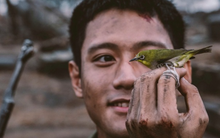 Hiện tượng "Mưa đỏ" là gì mà khiến hàng triệu người háo hức chờ xem?