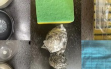 Vạch mặt 5 “sát thủ thầm lặng” trong nhà: Độc hơn thuốc trừ sâu, bào mòn sức khỏe nhanh hơn thuốc lá