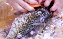 Đi chợ thấy 3 loại cá này thì NÉ ngay, rẻ mấy cũng không mua - loại số 3 nhiều bà nội trợ rất thích!