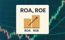Phân tích cơ bản cho người mới: Hiểu đúng về ROA và ROE