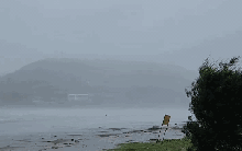 Trước giờ "G" bão số 5 Kajiki đổ bộ, mưa trắng trời, cây đổ, gió giật mạnh