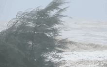 Bão số 5 đổ bộ vào Nam Nghệ An - Bắc Hà Tĩnh