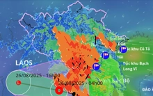 Dị thường như bão số 5