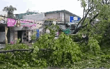 VIDEO: Tan hoang sau khi cuồng phong do bão số 5 quét qua