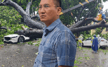 Chủ xe kể 30 giây kinh hoàng khi cây lớn bật gốc đè trúng ô tô giữa phố tại Hà Nội