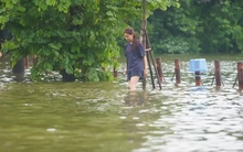 Đường và hồ 'hòa làm một' sau mưa lớn, người dân lấy cọc làm mốc để lội về nhà