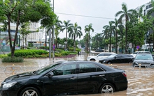 La liệt xe ngập nước do mưa bão Kajiki: Điều kiện nào hưởng bảo hiểm bồi thưởng?