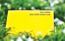 Mua bảo hiểm nhân thọ 20 triệu đồng/năm, sau 4 năm, người đàn ông muốn rút về, tư vấn viên báo: "Số tiền nhận về chỉ hơn 10 triệu đồng do phí phạt 75% hợp đồng"