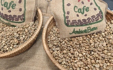 Giá cà phê hôm nay 28-8: Khó tin, Robusta tăng mạnh phiên thứ 6 liên tiếp