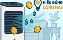 So sánh quạt hơi nước và quạt điều hòa: Loại nào tiết kiệm điện hơn trong mùa nóng?