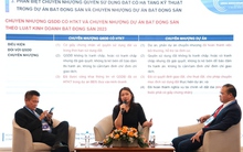 Tranh chấp bất động sản ngày càng phức tạp