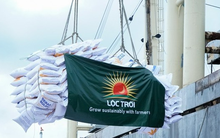 Vì sao Tập đoàn Lộc Trời bị xử phạt?