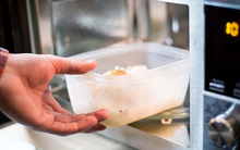 Đừng hâm nóng thứ này trong lò vi sóng, chỉ 3 phút có thể giải phóng hàng tỷ hạt vi nhựa, tế bào người chết hàng loạt