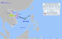 Tin bão khẩn cấp: Bão số 6 áp sát đất liền, cơ quan chức năng đưa ra cảnh báo