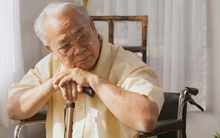 Nghỉ hưu với 5 tỷ tiền tiết kiệm cùng mức lương 10 triệu đồng/tháng, sau 2 năm, cựu trưởng phòng ngậm ngùi: Tôi chỉ mong được đi làm trở lại