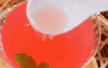 Loại trà màu tím có lịch sử nghìn năm này bổ dưỡng lại thơm ngon, trẻ con cũng yêu thích giúp bệnh vặt tan biến