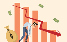 Không phải Novaland, đây mới là doanh nghiệp lỗ 'vô địch' 6 tháng đầu năm 2025