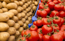 Bí mật 9 triệu năm: Khoai tây bắt nguồn từ cà chua và cây không củ ở Andes