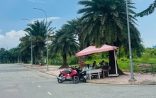 Giá đất nền Hà Nội, Hải Phòng, Quảng Ninh, TP.HCM, Đà Nẵng, Đồng Nai... đang diễn biến ra sao?