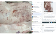 Nhìn lại diễn tiến vụ ông L.Q.N "tố" Công ty C.P. Việt Nam