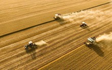 Phát hiện loạt cỗ máy không buồng lái, không người lái, khai thác liên tục trên những cánh đồng, khiến GenZ cũng phải bỏ phố về quê