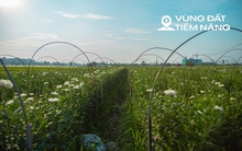 Toàn cảnh khu đất rộng hơn 200 ha sẽ được Sun Group đầu tư gần 15.000 tỷ làm khu đô thị cao cấp ở Hà Nội