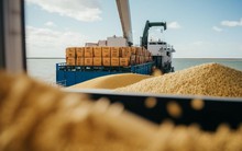 Mỹ tăng mạnh đưa mặt hàng ít quen thuộc này vào Việt Nam: nhập khẩu đột biến gần 700%, đạt kỷ lục trong hơn 5 năm qua