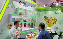 AIG đầu tư chiến lược vào GC Food thúc đẩy tiềm năng xuất khẩu nông sản Việt