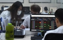 Lý do nhiều doanh nghiệp vừa nhận 'trát' giải trình