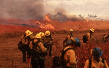 Cháy rừng dữ dội tại California, hơn 339 km² bị thiêu rụi, 4 người bị thương