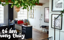 Ở chung cư nhỏ vẫn giàu năng lượng: 7 nguyên tắc phong thủy cực chuẩn ai cũng nên biết