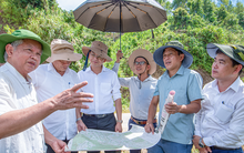 Vừa được duyệt dự án hơn 3.000 tỷ, Shark Lê Hùng Anh bất ngờ có động thái mới tại nơi cách TP Đà Nẵng 80 km