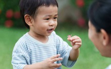 Nhiều bà mẹ chăm con có hiện tượng lạ, chồng chê "giả vờ": Khoa học não bộ đã "minh oan"