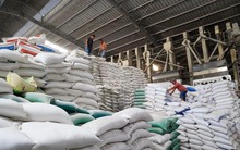 Doanh nghiệp gạo "cầu cứu" Bộ Công Thương