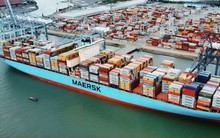 Ba cảng biển Việt Nam lọt Top 50 cảng container lớn nhất thế giới